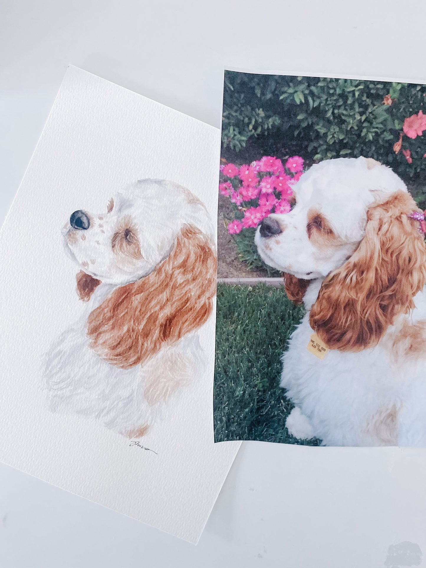 Pet Painting